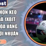 cách chọn kèo bóng đá 1xbit
