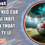cách ra kèo của nhà cái 1xbit