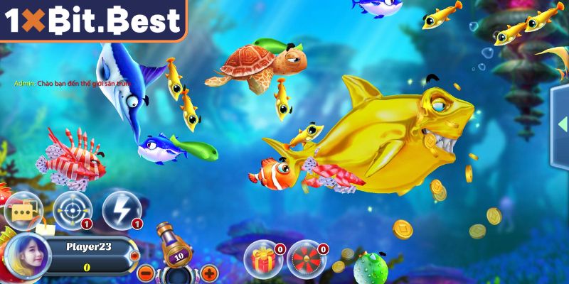 Game Bắn Cá Sấu 1xbit, Đối Đầu Thủy Quái Hung Dữ Từng Pha Bắn 3 Chiến thuật tối ưu khi trải nghiệm