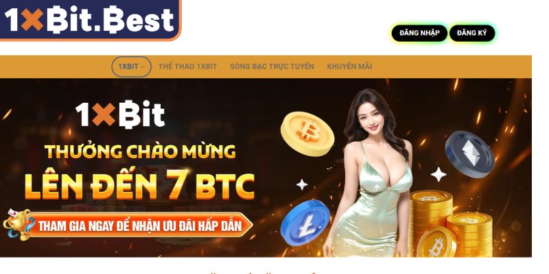 Khuyến Mãi 1XBIT – Cách Tận Dụng Thưởng Và Tối Đa Lợi Nhuận 1 Tất cả những điều cần biết về khuyến mãi 1XBIT