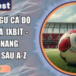 thuật ngữ cá độ bóng đá 1xbit