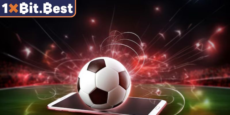 Cấu trúc và cách hiển thị của tỷ lệ kèo Malaysia 1xbit
